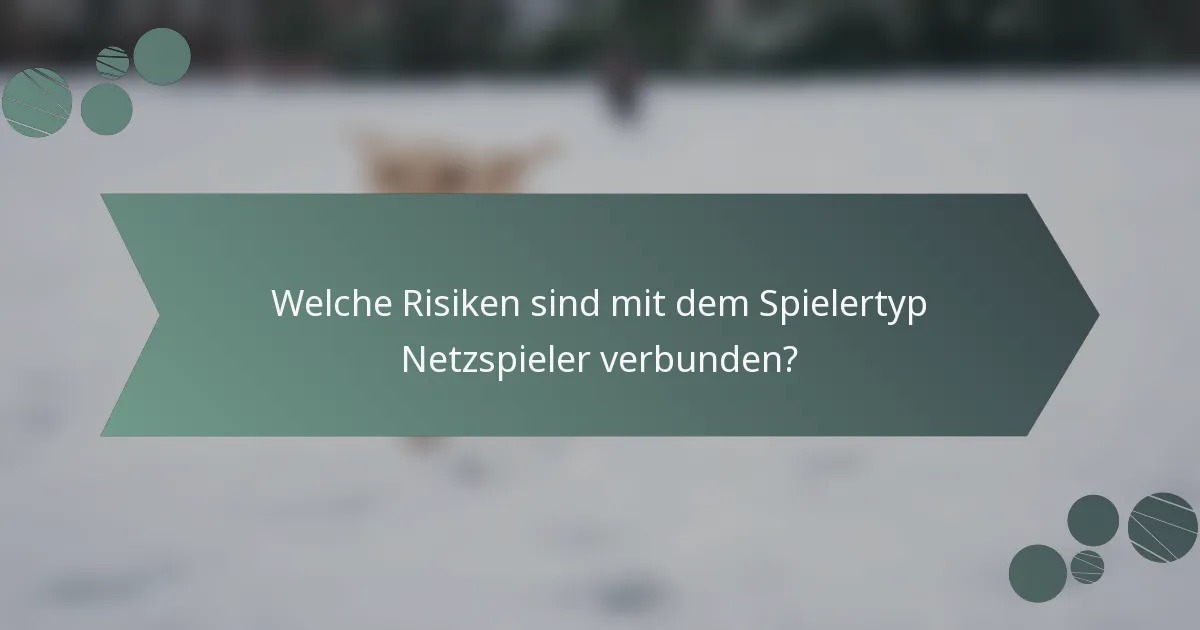Welche Risiken sind mit dem Spielertyp Netzspieler verbunden?
