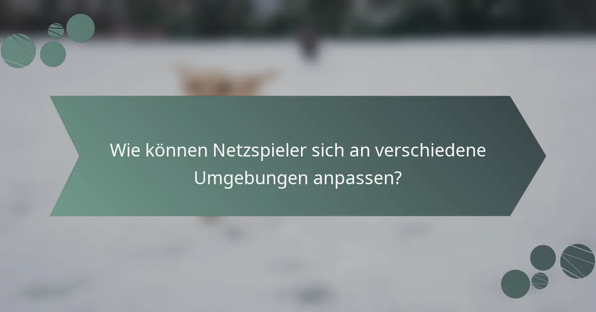 Wie können Netzspieler sich an verschiedene Umgebungen anpassen?