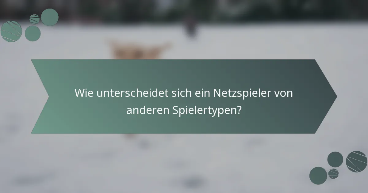 Wie unterscheidet sich ein Netzspieler von anderen Spielertypen?